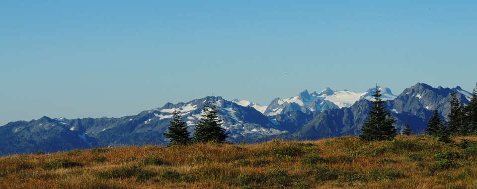 Olympic National Park Landscape