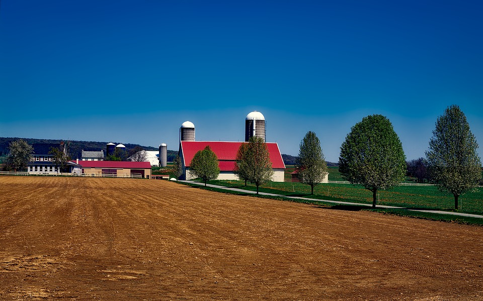 Amish Farm