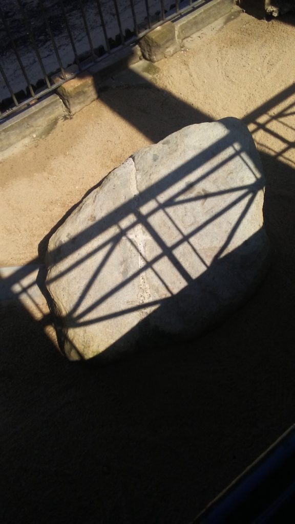 Plymouth Rock