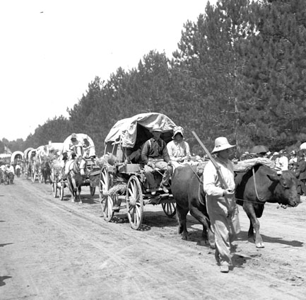 Pioneer Wagon Trains