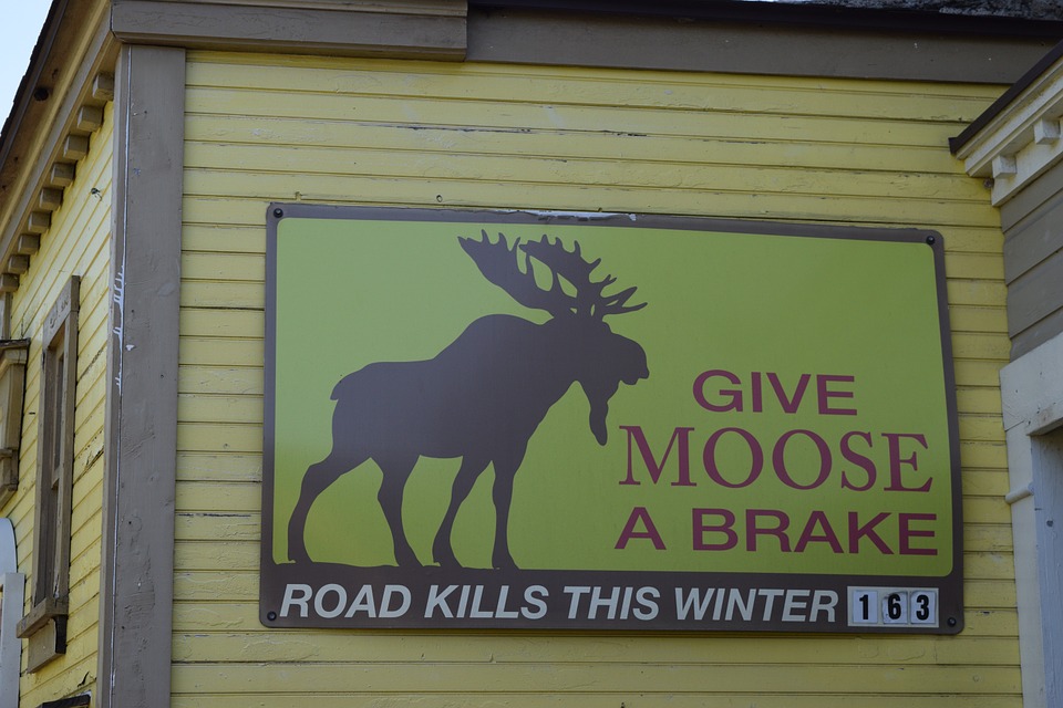 moose sign